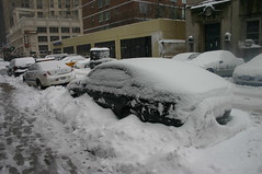 Snow Storm Feb2010 (8)