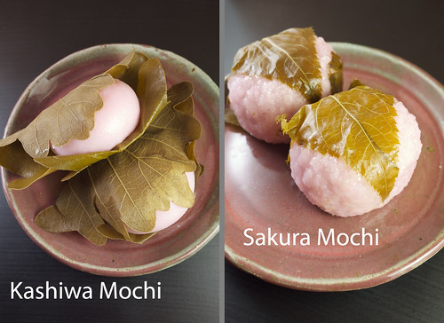 Kashiwa & Sakura Mochi
