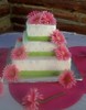 wedding pink gerber daisies, green ribbon