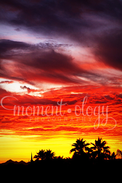 SunsetBlog3