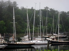 Acadia Boats