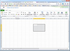 Windows Live Excel webapp