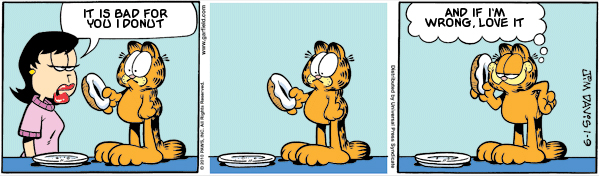 Garfield: Lost in Translation, January 9, 2010