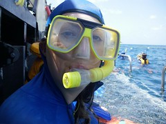 Great Barrier Reef Snorkel Tour...off to find Nemo