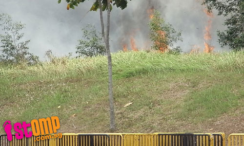  Bush fire rages at Expo area