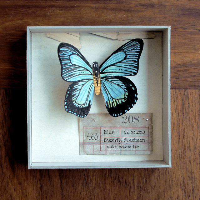 Watercolor butterfly specimen box