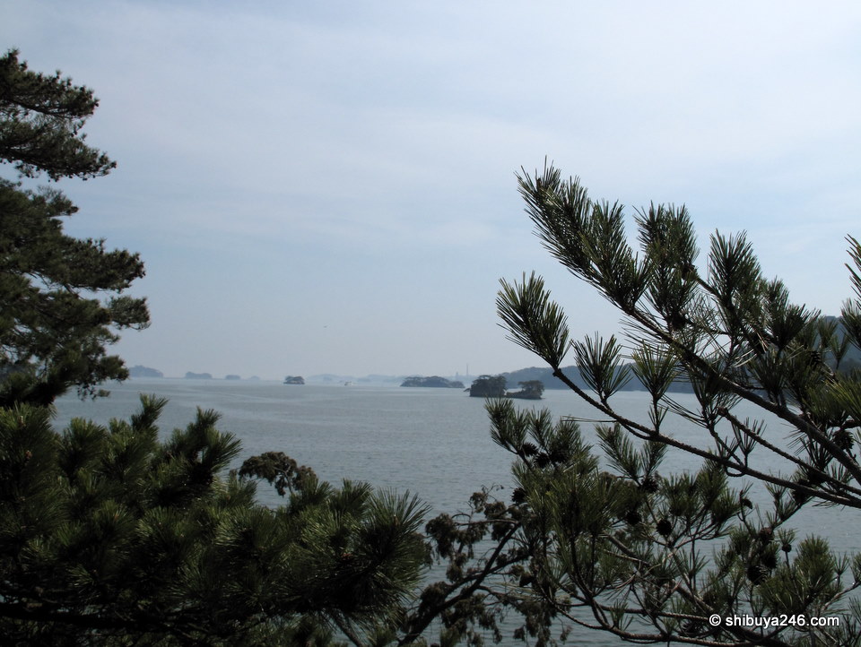 There are over 200 small islands in the bay all dotted with pine trees.