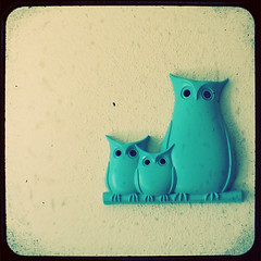 5.1: mama & baby owls