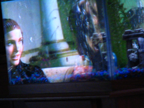 natalie portman keira knightley amidala. Natalie Portman Queen Amidala