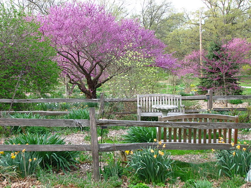 fenced garden
