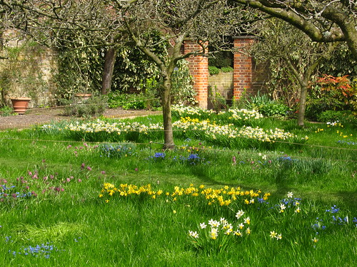 Spring meadow in the orchard garden at Fenton House, Hampstead