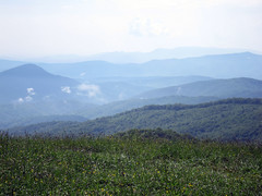 view at max patch