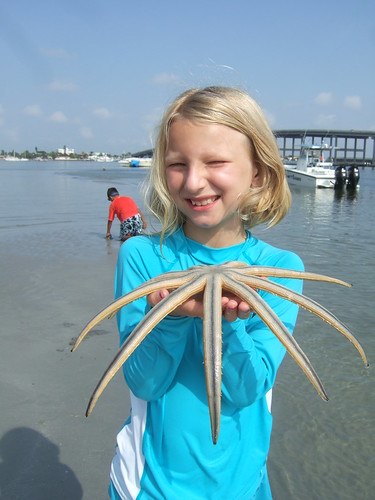 Hannah finds a 9 armed starfish!