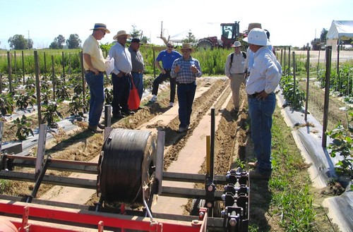 NRCS Soil Conservationist (center) describes the benefits of reducing soil compaction, in this case accomplished by use of a low impact cultivator. 