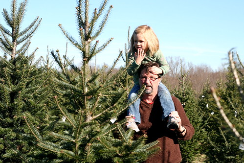 christmas tree hunting