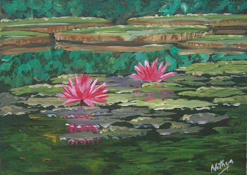 Waterlily #17