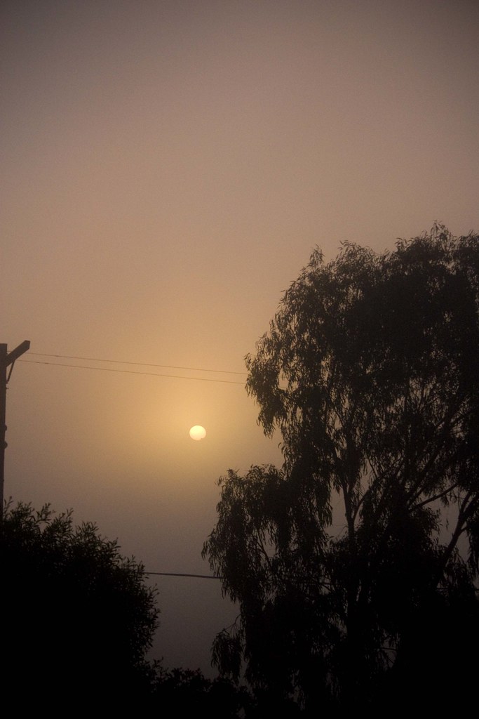foggy sunrise