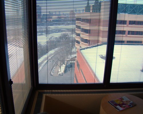 6th Floor View