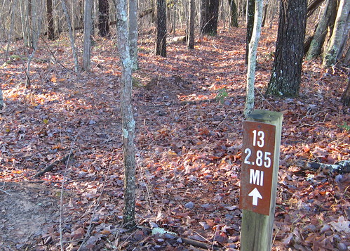 Sauratown Trail Section 13, east end