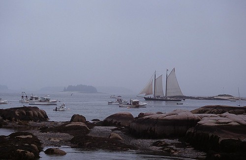 Foggy Stonington Harbor Maine