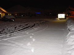 Snowstorm Feb2010 004