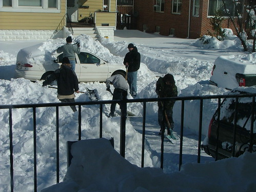 February 2010 snow 006