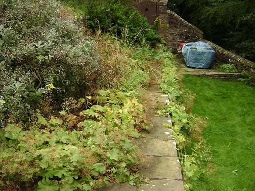 Landscape Gardening  Alderley Edge Image 24