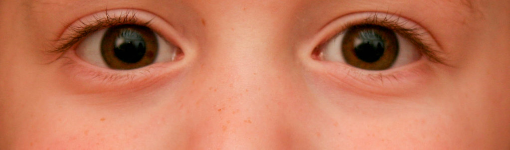 Feb 27, 2010(150/365) - His eyes