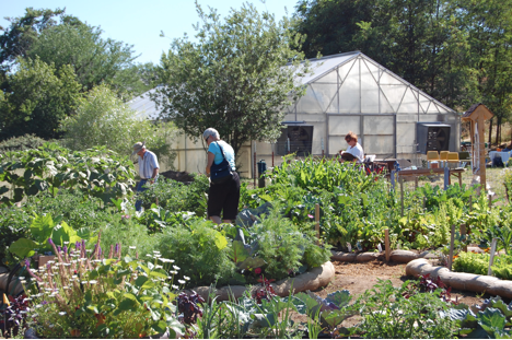 Abundant harvests are shared amongst gardeners and community service programs. 