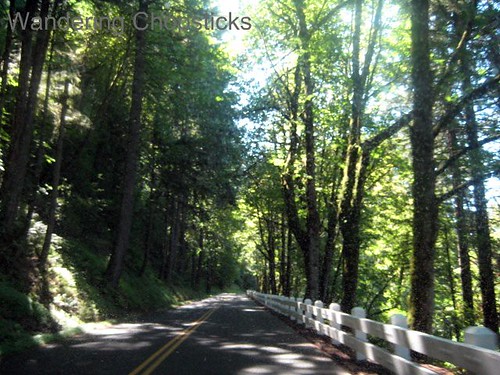 Day 4.7 Historic Columbia River Highway - Columbia River Gorge - Oregon 4