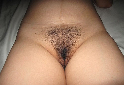 mature nice hairy pussy girls pics: hairypussy