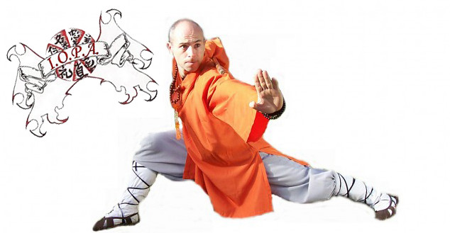 iopa kung fu
