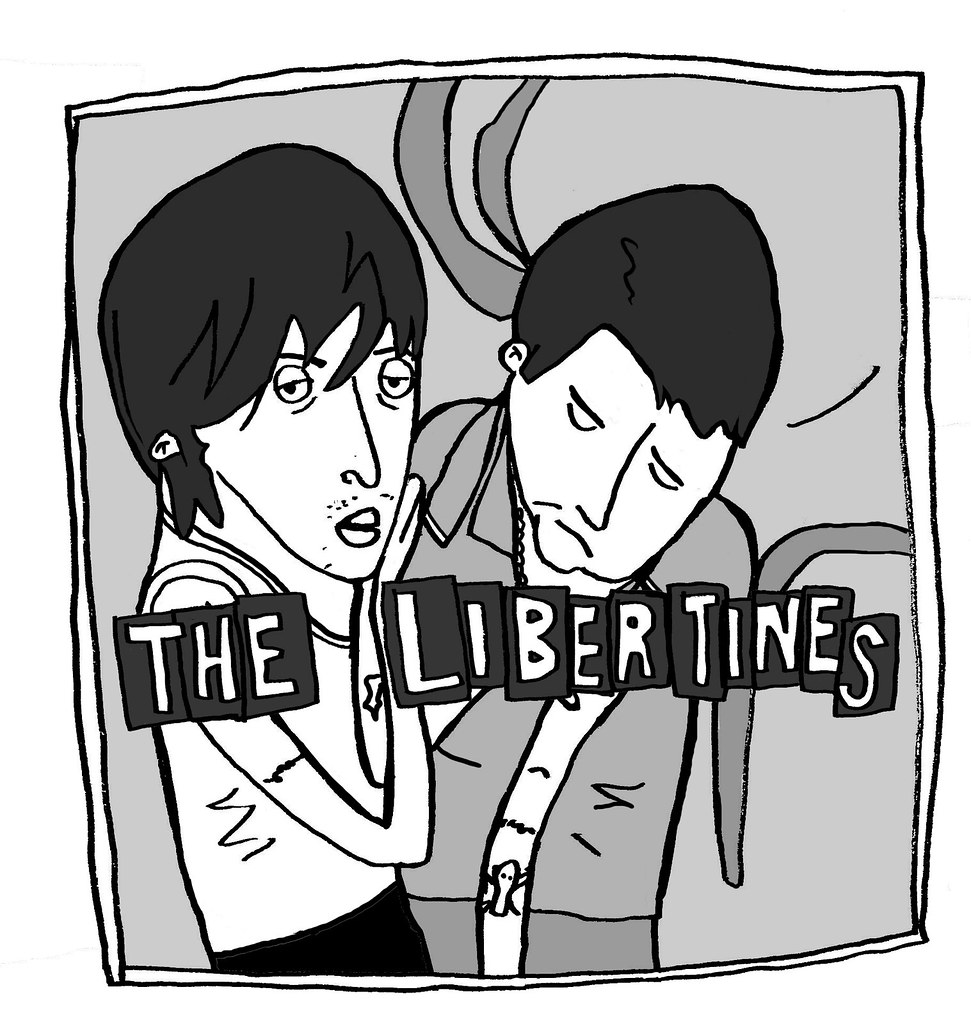 the 
libertines 