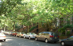 Park Slope Streets