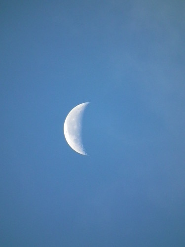 Nov1st, moon in the morning sky1
