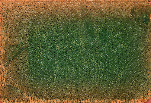 Texture -  Antique Green Leather Book Cover 1905