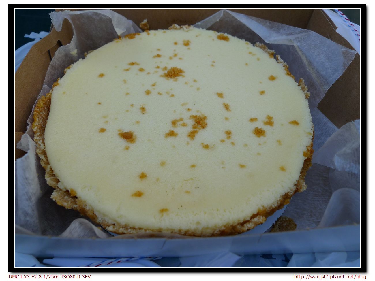 20100410-75一整個cheese cake