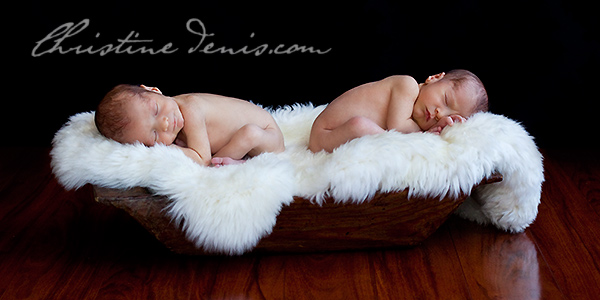 Twins in a bowl ~ Hull Newborns