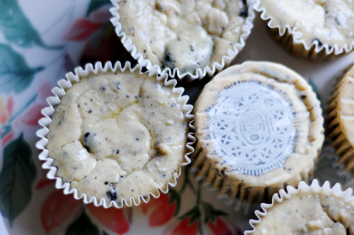 cookies and cream cheesecakelettes