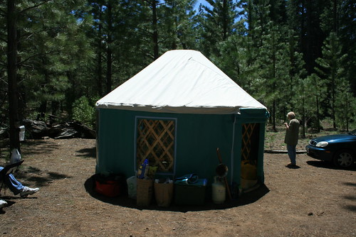 Yurt in Forest