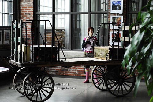 Luggage Carriage