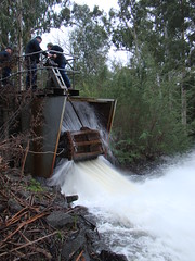 Operators Release Water from Maroondah Reservoir