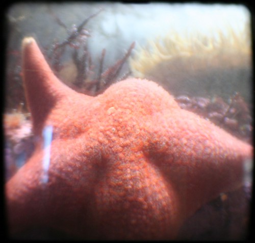 Patrick says hello