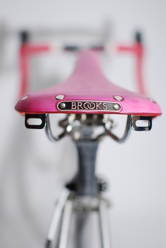 Bokeh for the Pink Brooks