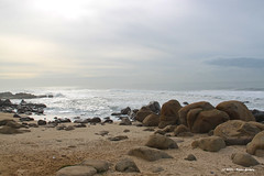 Praia de Salgueiros VI / Salgueiros Beach VI