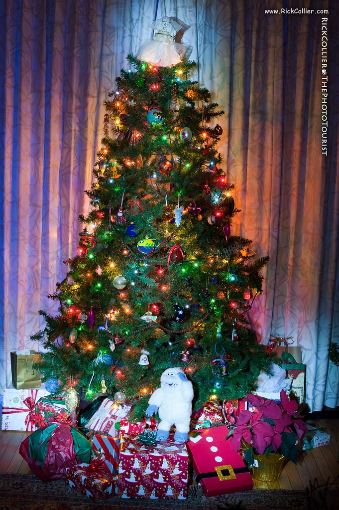 A Christmas tree decorated with lights and ornaments, and presents beneath the tree.