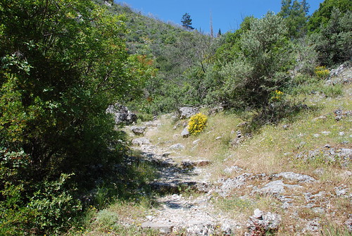 En äldre stenlagd stig
