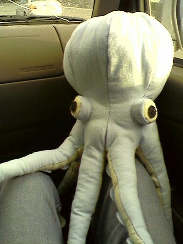 Stuffed Octopus