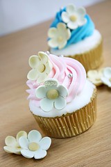 Blue & pink cupcakes
