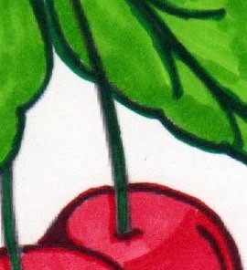 sneaky peek colored cherry
